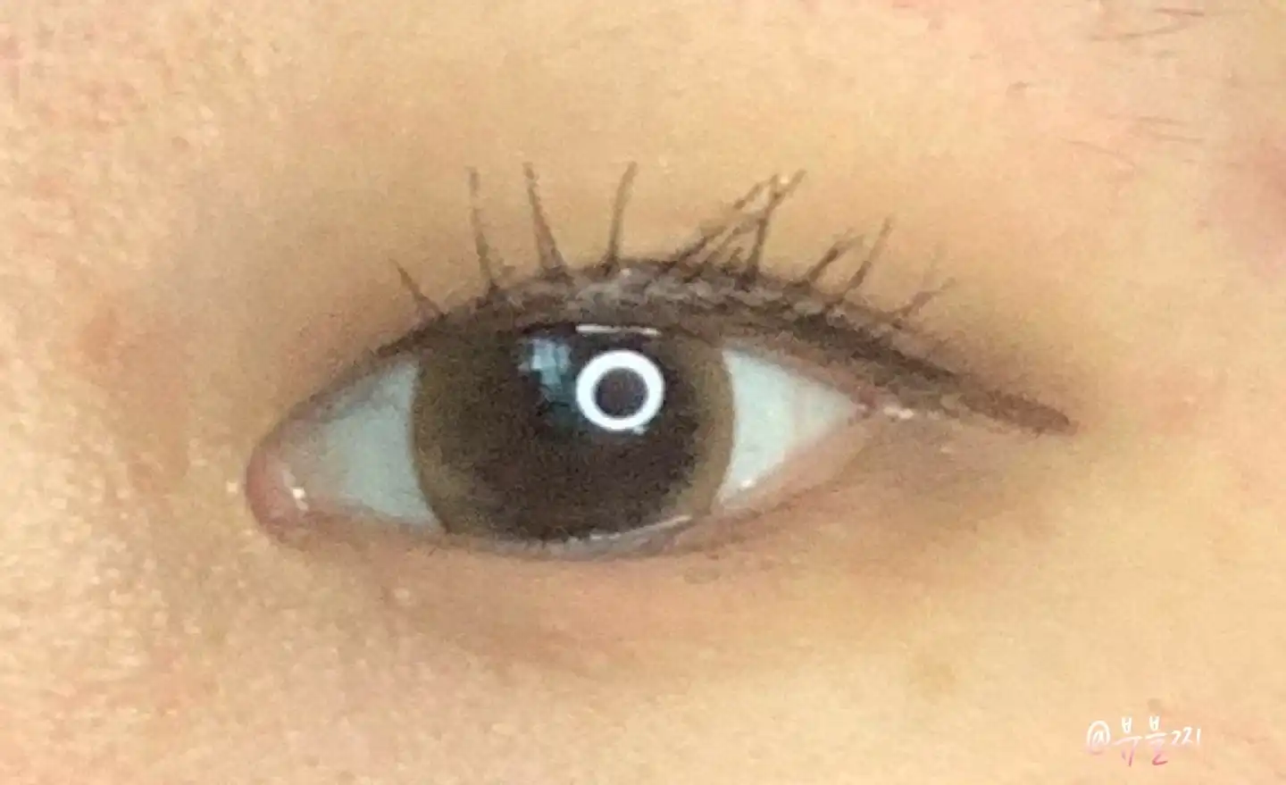 프로 아이 팔레트  [9호 보타닉모브]