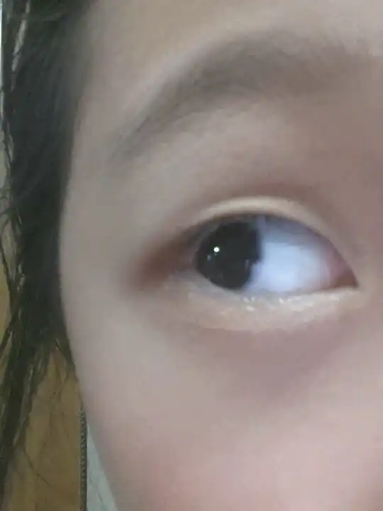 언니의파우치 리뷰 이미지 4 - [뉴 리틀 라운드팟 아이섀도우 10 베쥬 파이테 플라티네]