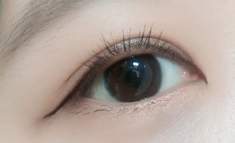 라인 퍼포머 리퀴드 [02 브라운]