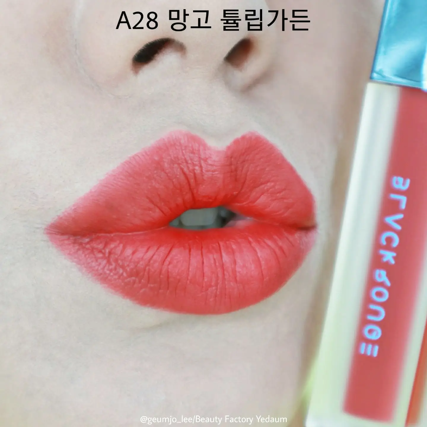 선택된 언니의파우치 리뷰 이미지 - [에어 핏 벨벳틴트6 [A28 망고튤립가든]]