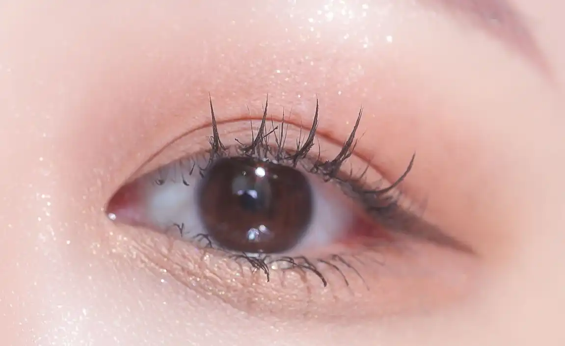 멀티 유즈 아이팔레트 [베이직]