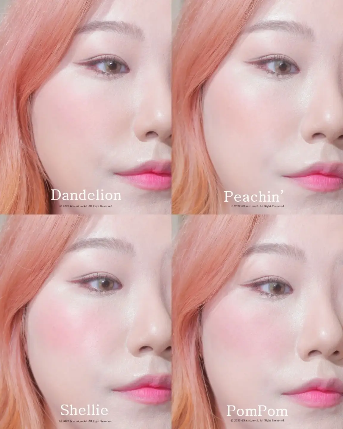 선택된 언니의파우치 리뷰 이미지 - [단델리온 핑크 블러셔]