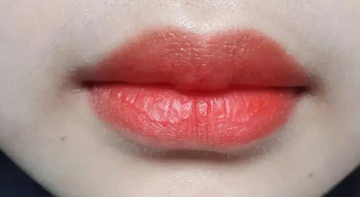 언니의파우치 리뷰 이미지 9 - [루쥬 뷔르 꾸뛰르 베르니 아 레브르(7)]