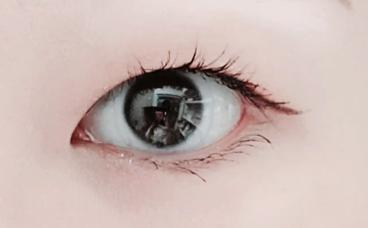 일본 카이 컴팩트 아이뷰러