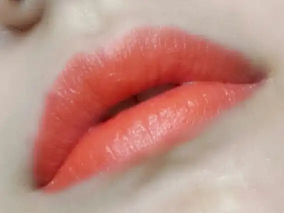 앰플리파이드 립스틱 [모란지]