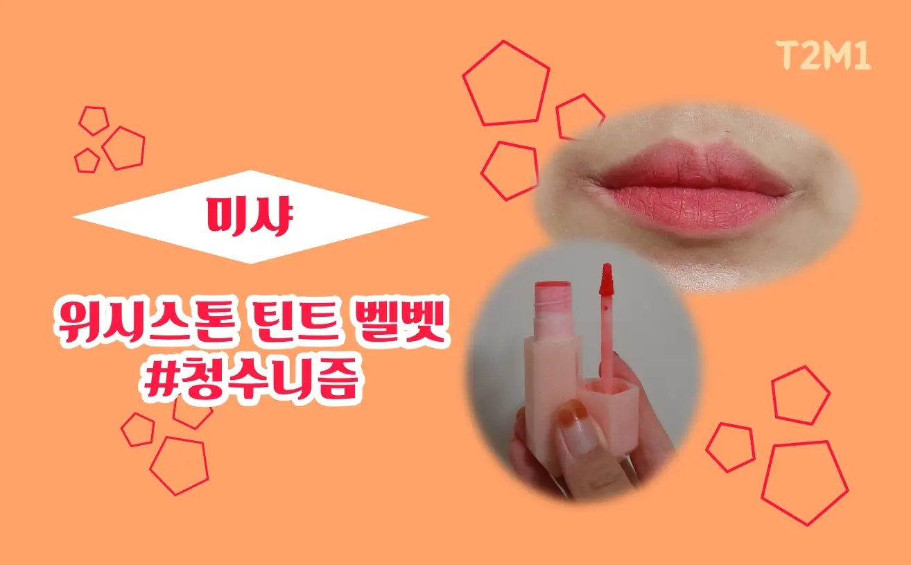 선택된 언니의파우치 리뷰 이미지 - [위시스톤 틴트 벨벳 [청수니즘]]