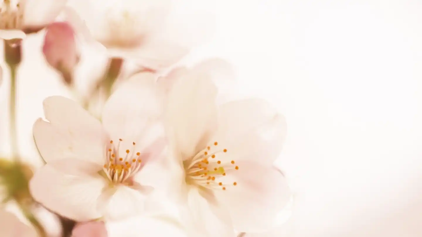 언니의파우치 리뷰 이미지 3 - [아임 유어 립틴트 [21 슬립]]