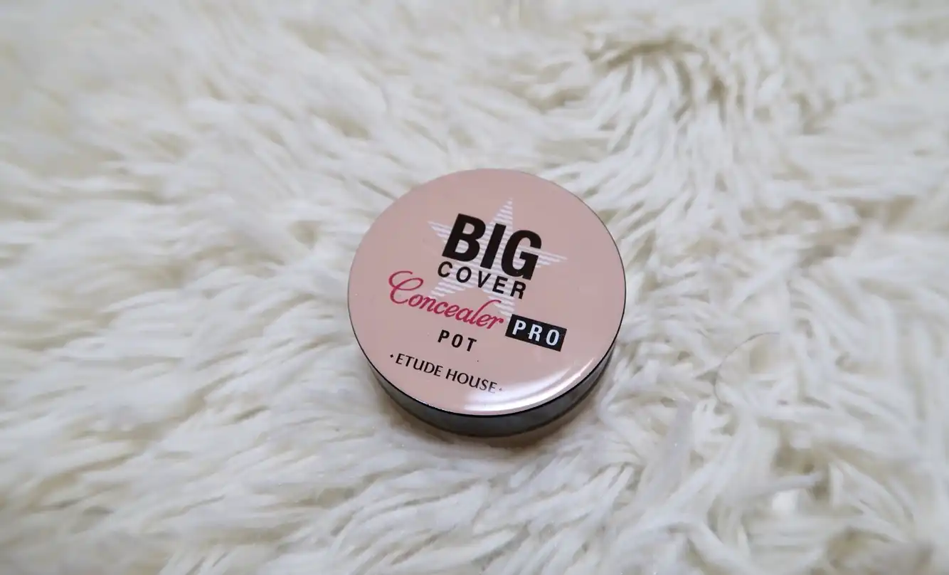 빅커버 팟 컨실러 PRO [바닐라]