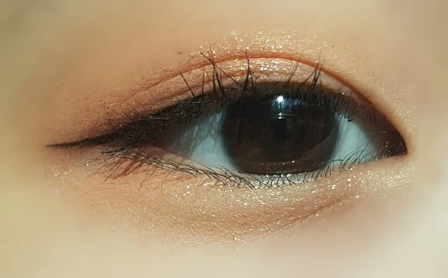 리얼 아이 팔레트 [5호 애프리콧미]