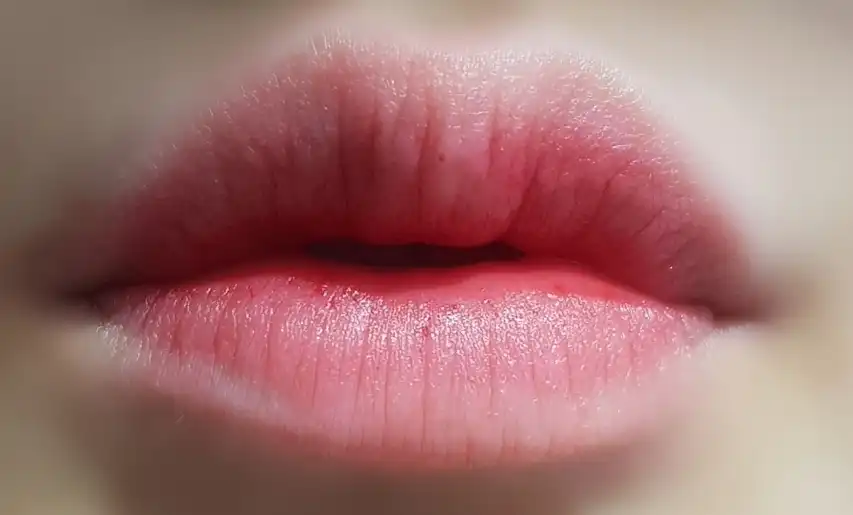 에스투엔디 터치 스테이 립 틴트 카르페디엠