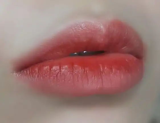 언니의파우치 리뷰 이미지 11 - [24/7 립 스테인 [6 PM 레드브라운]]