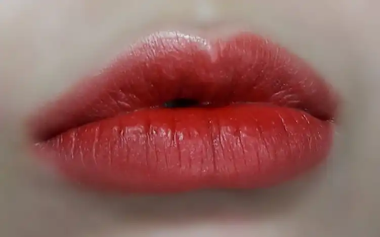 언니의파우치 리뷰 이미지 14 - [24/7 립 스테인 [6 PM 레드브라운]]
