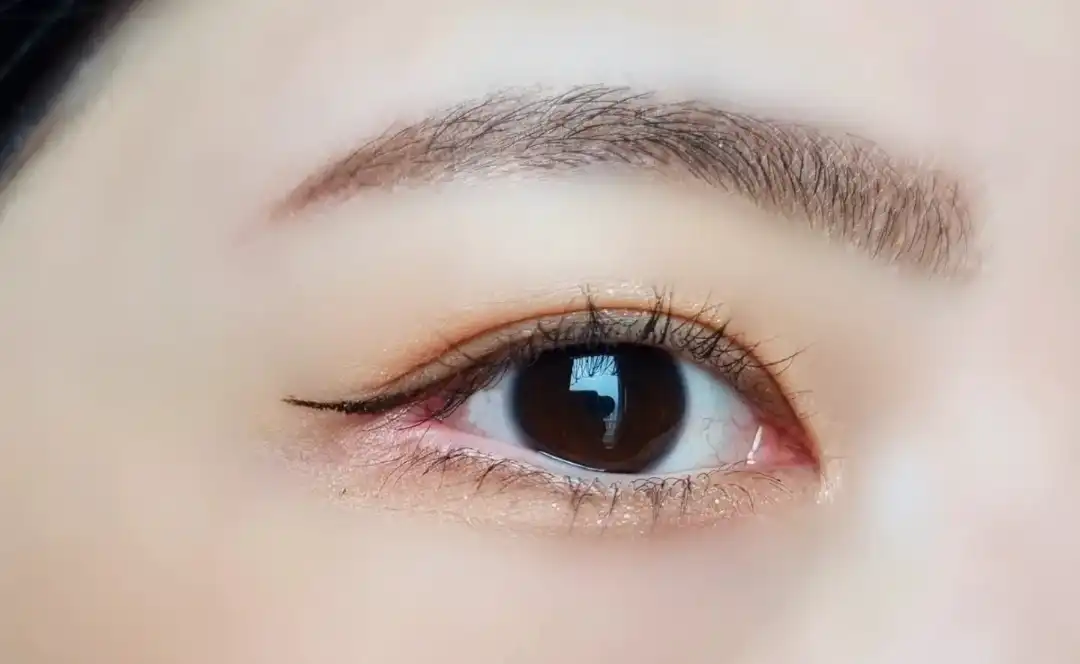 홀리몰리 레이어 팔레트 [데이 애프터 데이]