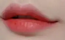 에스투엔디 터치 스테이 립 틴트 카르페디엠