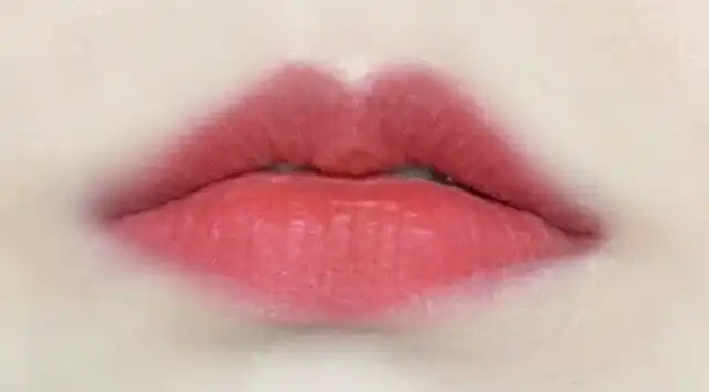 립커버 컬러틴트 [7호 체리 초콜렛]