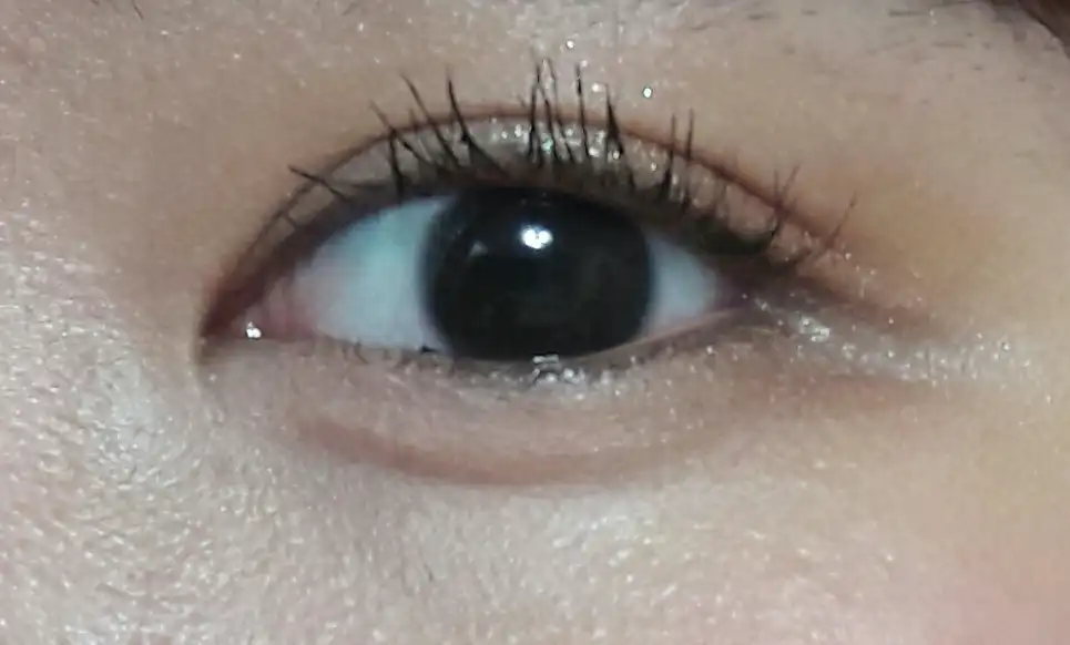 2 in 1 컬링 마스카라 [01호 블랙]