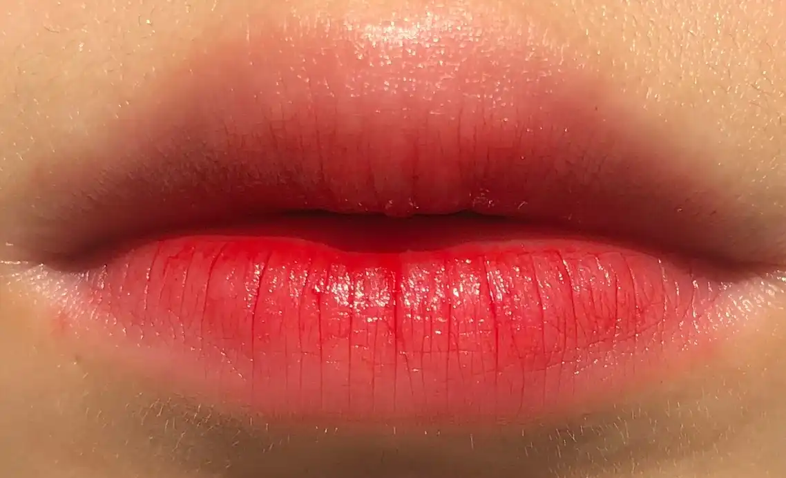 에스투엔디 터치 스테이 립 틴트 카르페디엠