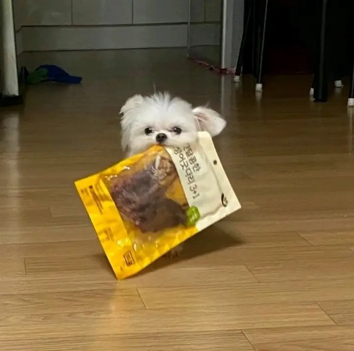 선택된 언니의파우치 리뷰 이미지 - [실크 피니쉬 립스틱 [호놀룰루 이즈 콜링]]