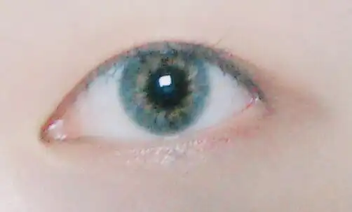 카리브3콘 [그레이]