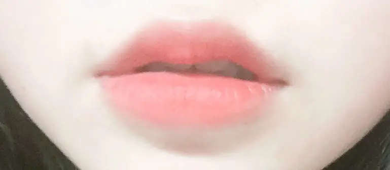 선택된 언니의파우치 리뷰 이미지 - [페리스 잉크 더 벨벳 005 잉크튜드]
