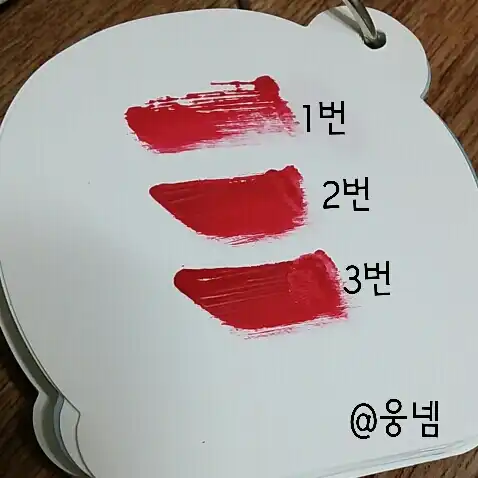 언니의파우치 리뷰 이미지 2 - [에나멜 립 플루이드 [RD01_에나멜레드]]