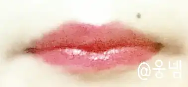 언니의파우치 리뷰 이미지 5 - [에나멜 립 플루이드 [RD01_에나멜레드]]