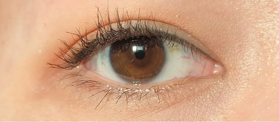 선택된 언니의파우치 리뷰 이미지 - [리치 롱래쉬 워터프루프 마스카라 [47호 래쉬브라운]]