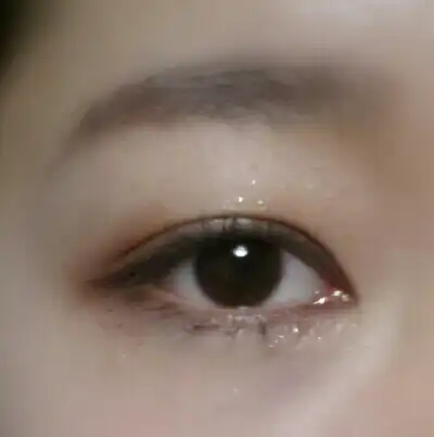 모노아이즈 (2014 NEW) 42호 패러키트