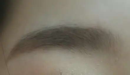 엘르걸 와우 페인팅 아이브로우 [02 브라운]