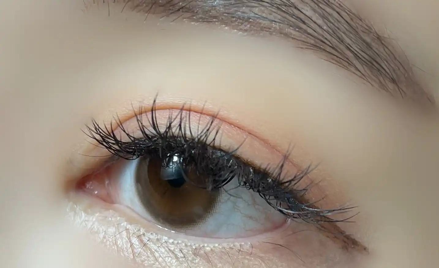 누디코코 [브라운]