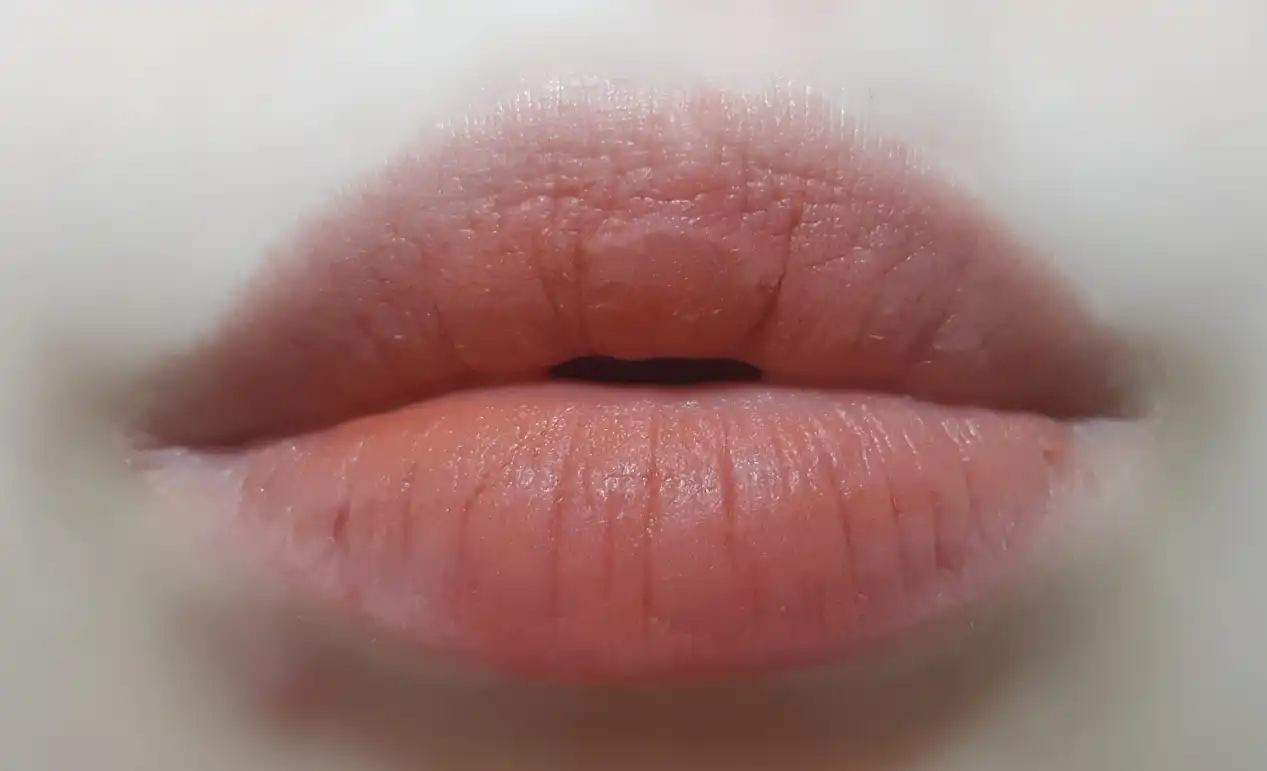 레이어 퍼지 틴트 [#1 퍼지코랄]