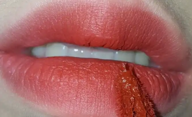 에어 핏 벨벳틴트4 [A21 가시돋은로즈]