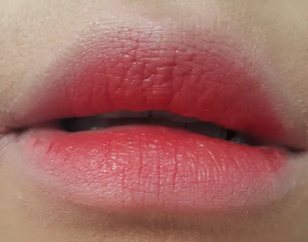 선택된 언니의파우치 리뷰 이미지 - [페이스잇 아티스트 터치 립스틱 모이스처 RD301]