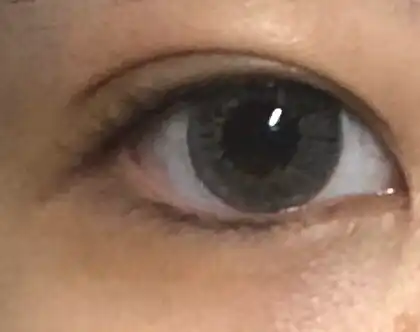 롱래스팅 팁 컨실러 [03호 브라이트]