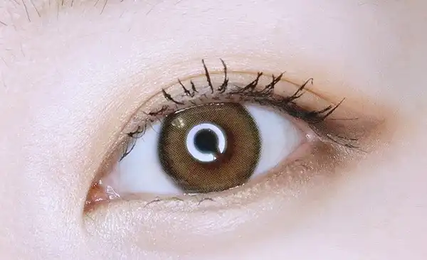 원데이 리치앤 [인디 브라운]