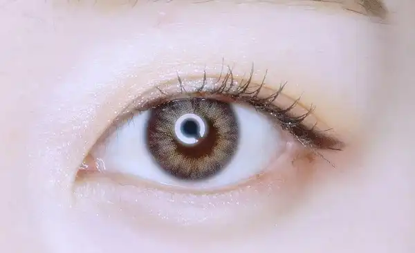 원데이 리치앤 [네츄럴 그레이]