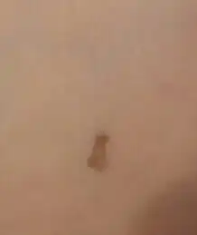 언니의파우치 리뷰 이미지 10 - [비바 워터프루프 팁 펜 아이라이너 [브라운]]