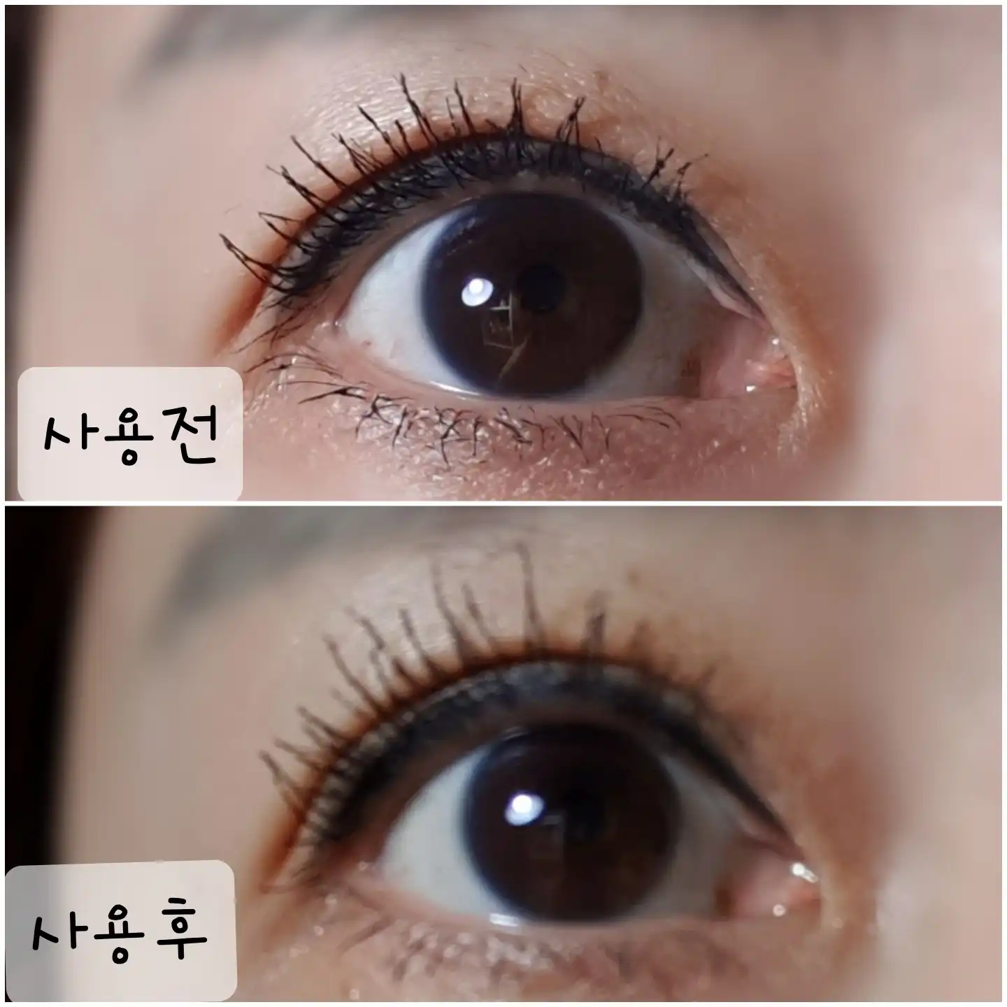 언니의파우치 리뷰 이미지 9 - [속눈썹영양제 눈썹자라]