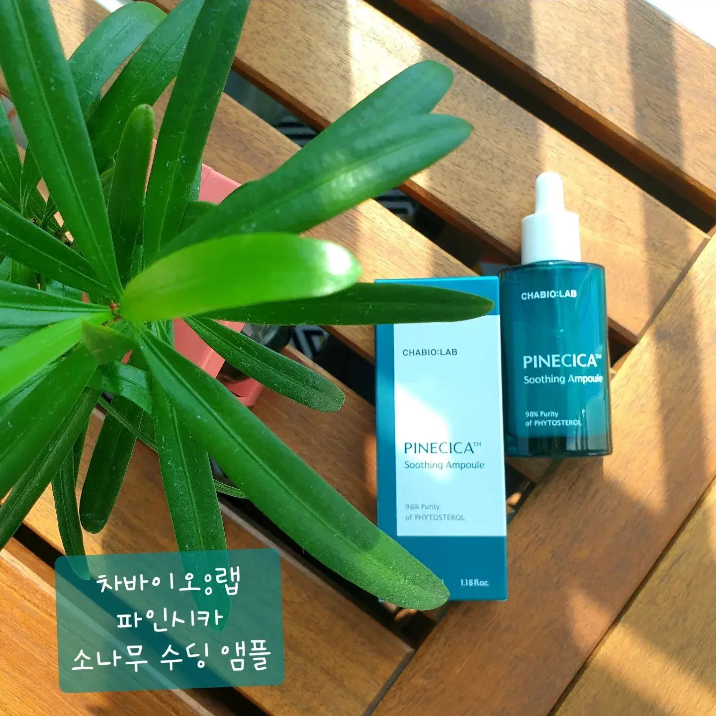 선택된 언니의파우치 리뷰 이미지 - [파인시카 소나무 수딩 앰플]