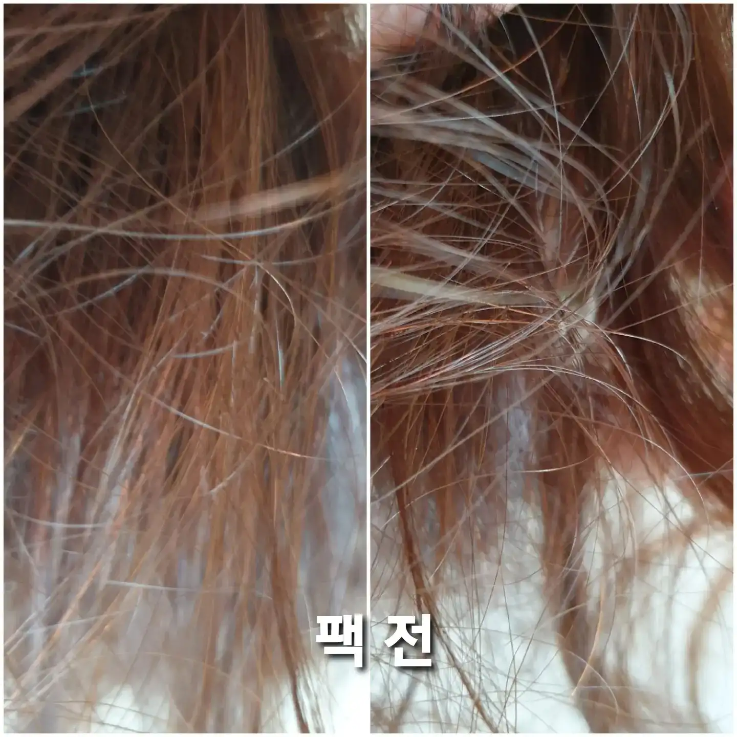 언니의파우치 리뷰 이미지 4 - [로브로제 엘라스픽 리페어 헤어팩]