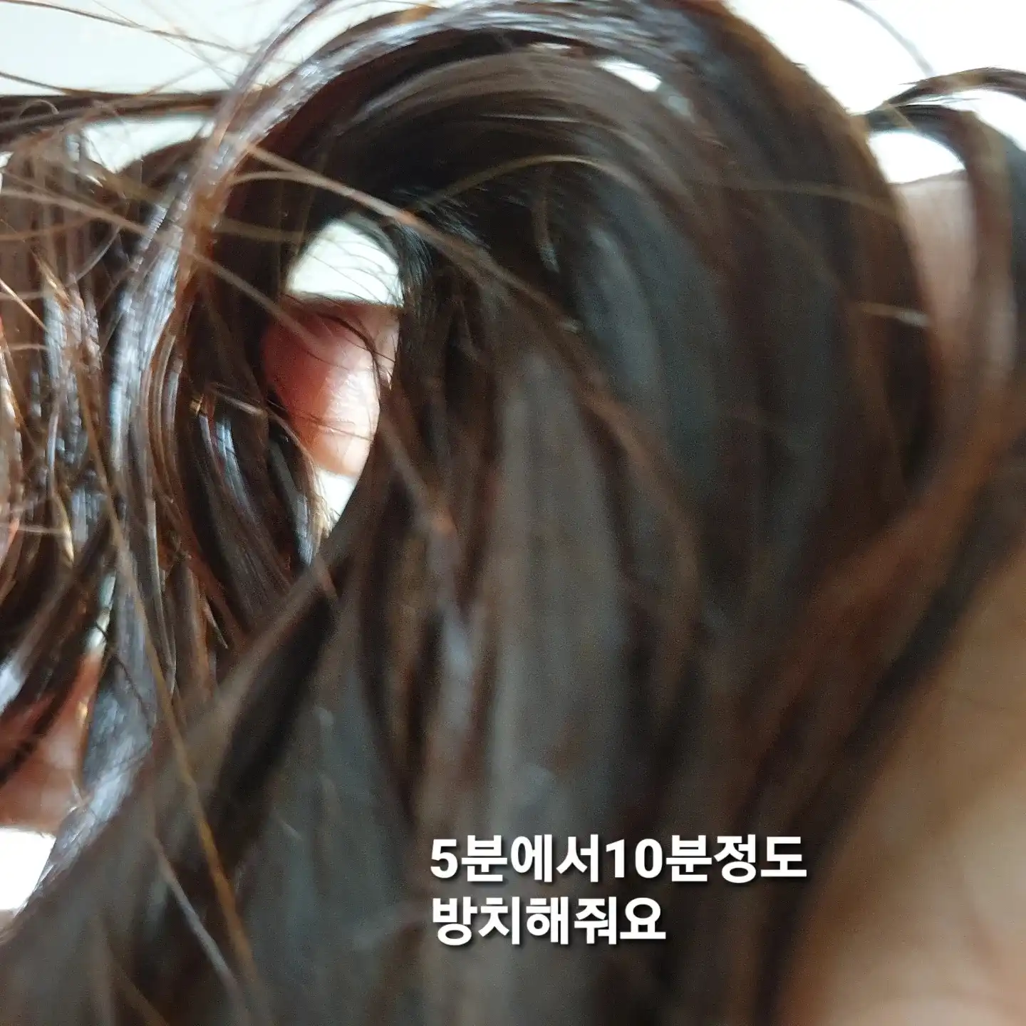 언니의파우치 리뷰 이미지 6 - [로브로제 엘라스픽 리페어 헤어팩]
