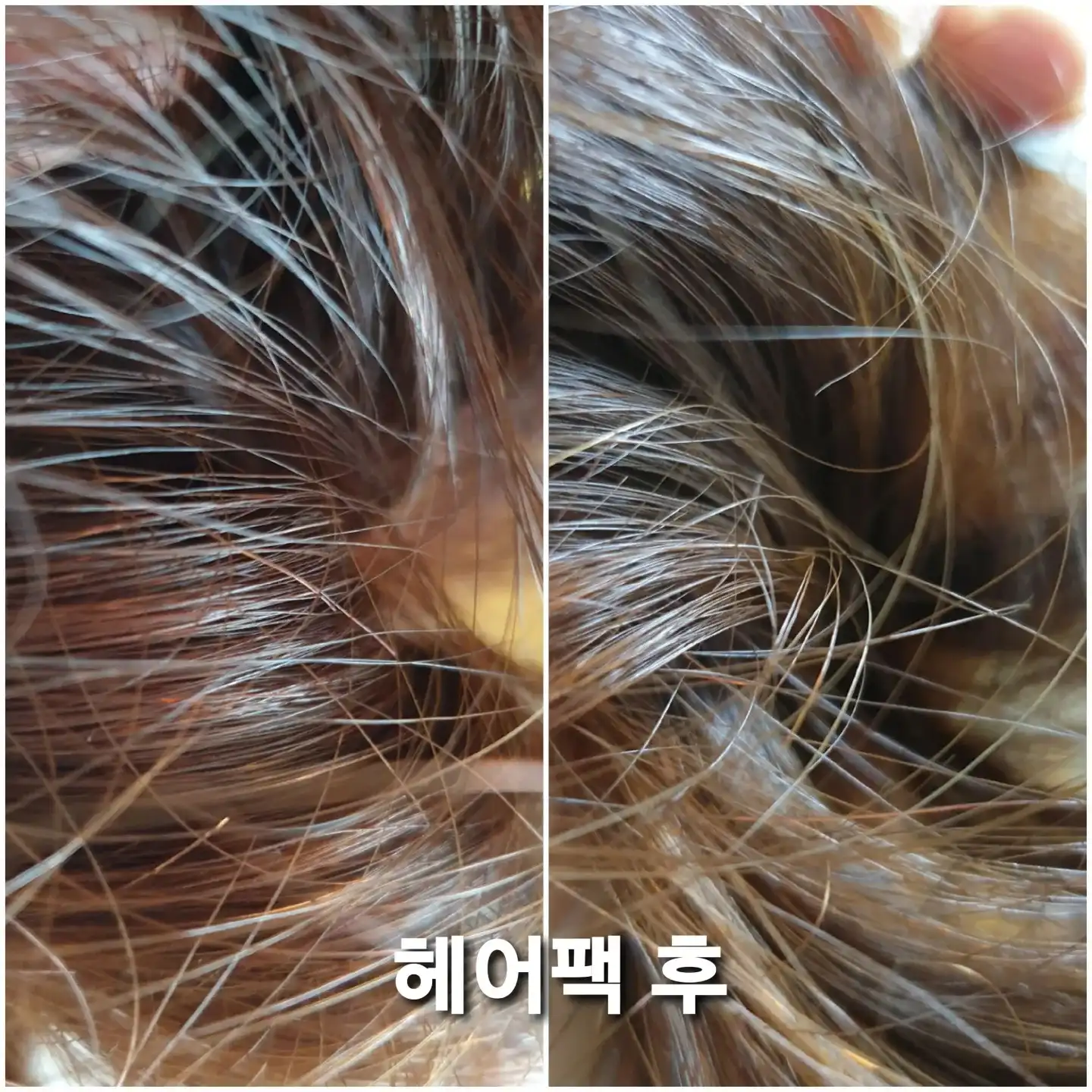 언니의파우치 리뷰 이미지 7 - [로브로제 엘라스픽 리페어 헤어팩]