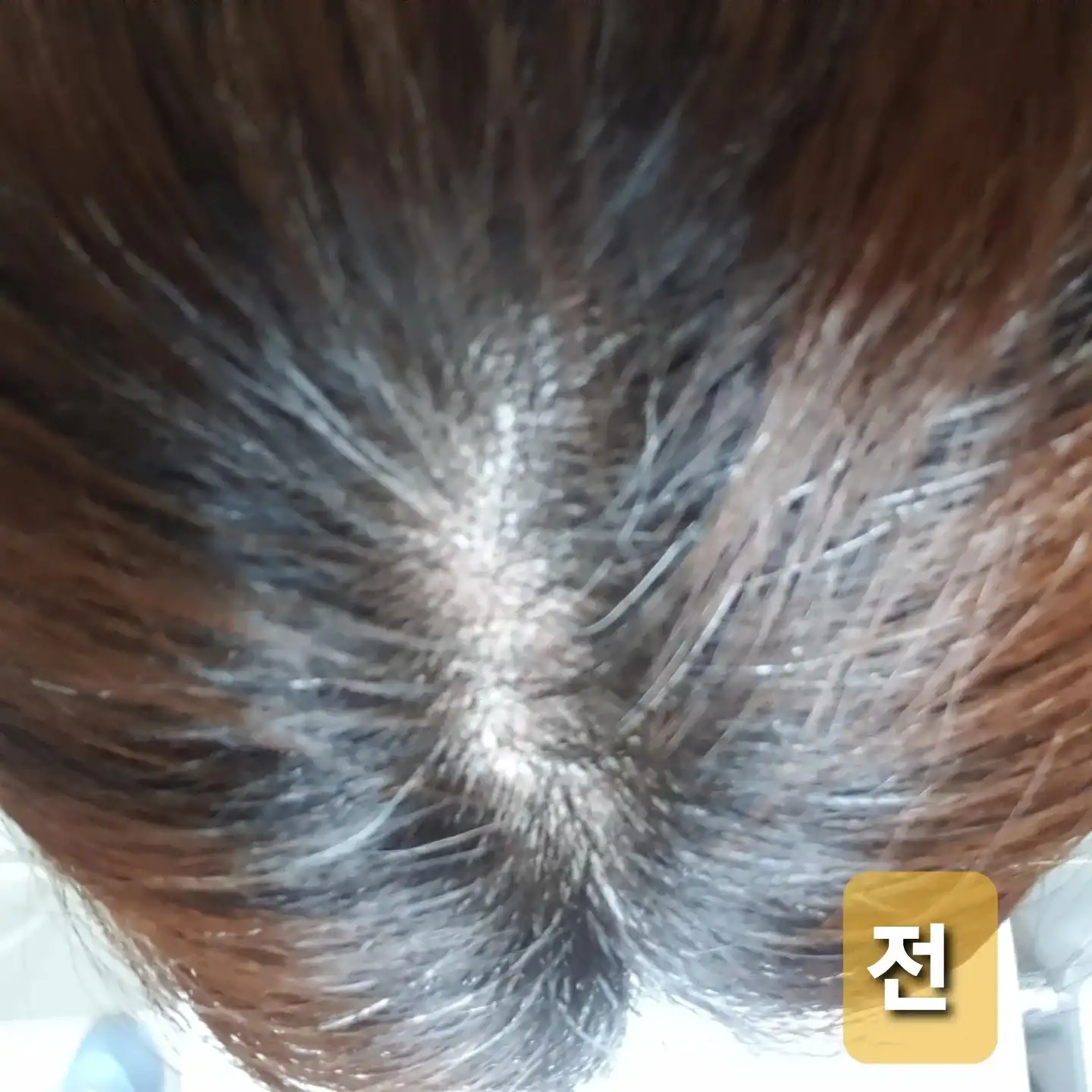 언니의파우치 리뷰 이미지 8 - [리젠올 에너지 부스터]