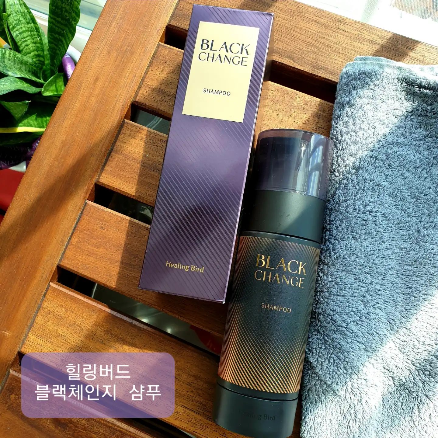 블랙체인지 샴푸