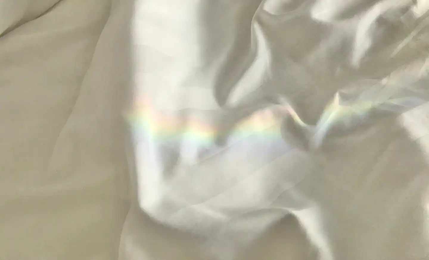 서양송악 진정 크림