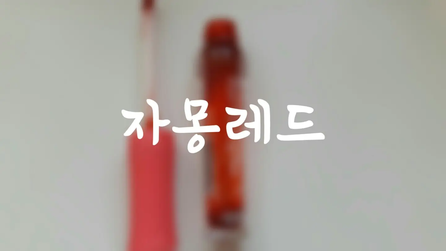 선택된 언니의파우치 리뷰 이미지 - [렛츠핑크 디어 달링 틴트 자몽 레드]