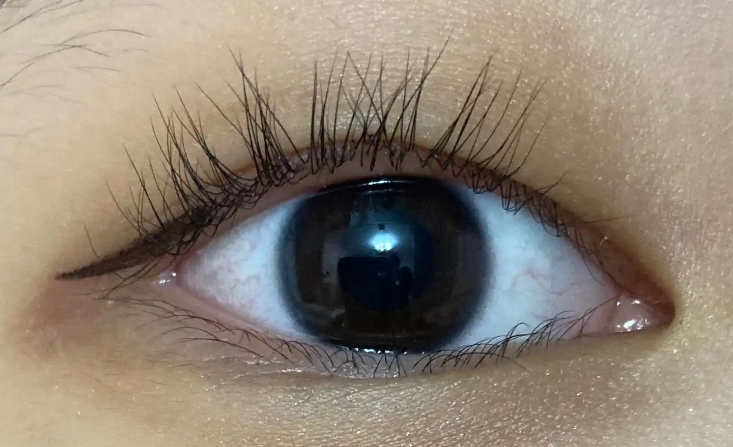 쓰리세븐 최고급 아이래쉬 뷰러