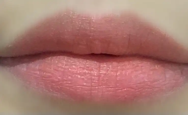 레이어 퍼지 틴트 [#1 퍼지코랄]