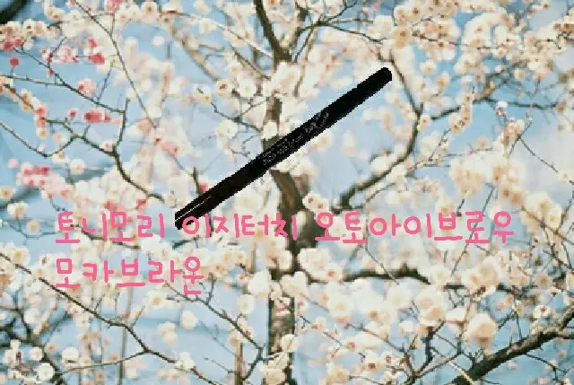 선택된 언니의파우치 리뷰 이미지 - [이지터치 오토 아이브로우 [04 모카브라운]]