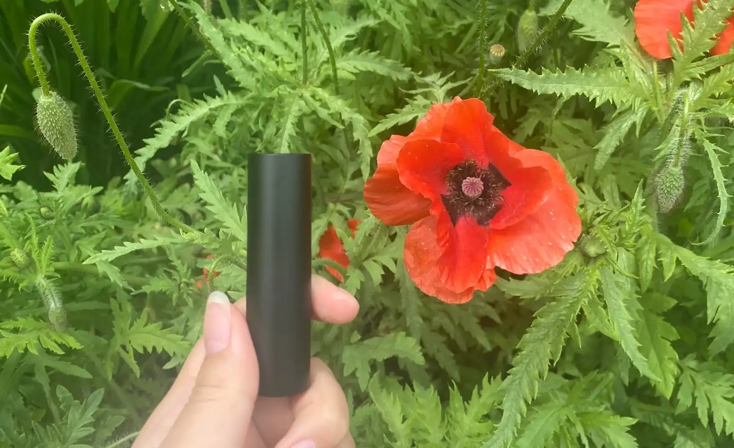 세미 매트 립스틱 [썸바디러브]